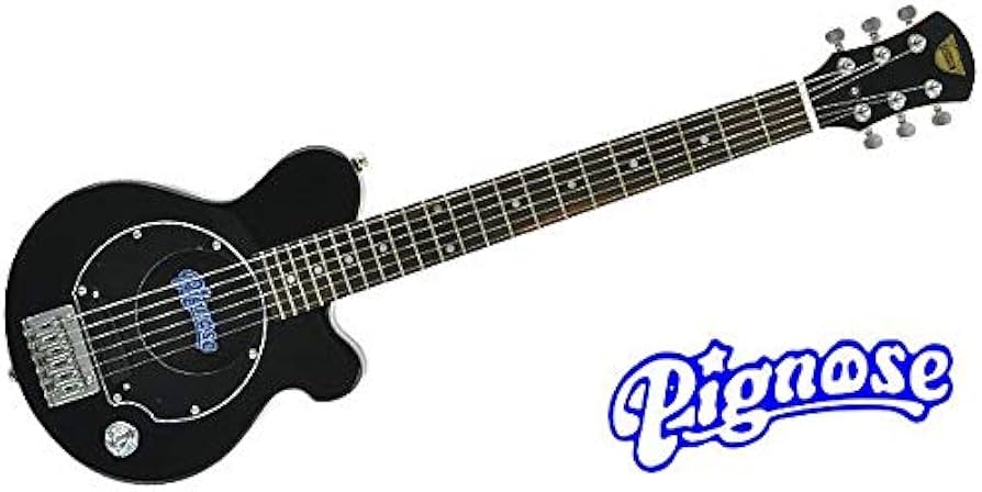Amazon | PIGNOSE (ピグノーズ) アンプ内蔵ミニギター PGG-200 BLACK