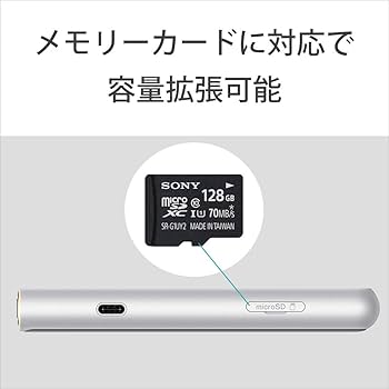 Amazon.co.jp: ソニー ウォークマン 64GB ZXシリーズ NW-ZX507