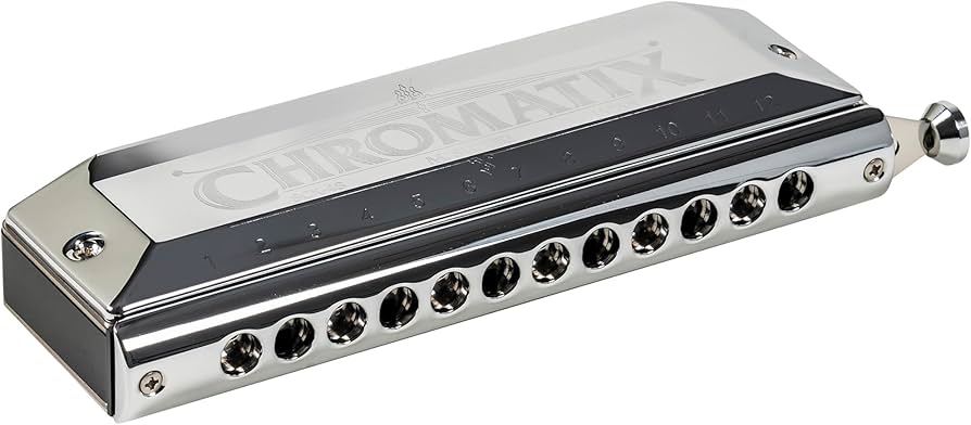 Amazon.com: Suzuki SCX-48 Chromatix Series Harmonica C 12 Hole