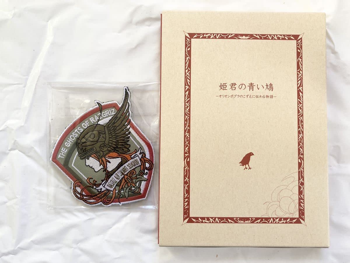 Amazon.co.jp: エースコンバット5 ラーズグリーズワッペン付属 姫君の