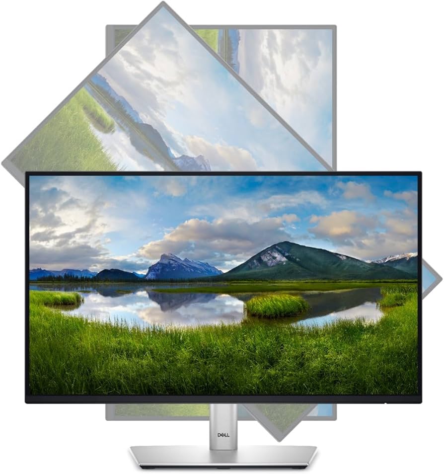 Dell 24 Monitor - P2422H - Full HD 1080p, IPS Technology