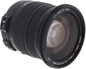 Sigma 17-50mm f/2.8 EX DC OS HSM FLD Large Aperture Standard Zoom