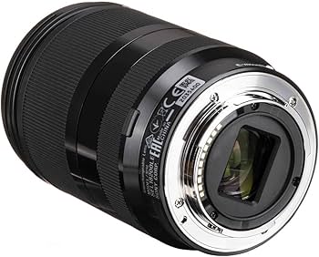 Amazon.co.jp: ソニー E 18-200mm F3.5-6.3 OSS LE※ソニーEマウント用