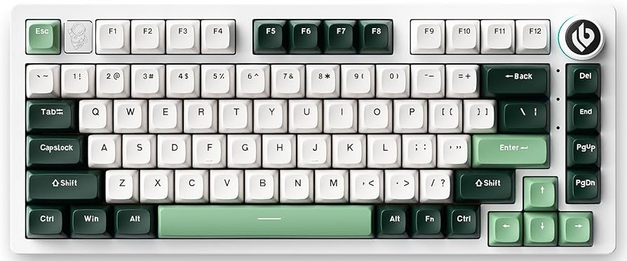 Amazon.com: LEOBOG Hi75 Wired Mechanical Keyboard, 75% Gaming