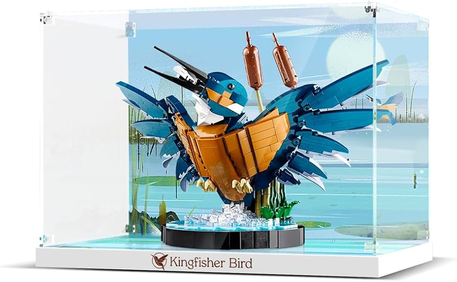Amazon.com: ALiquid Acrylic Display Case for Lego Kingfisher Bird