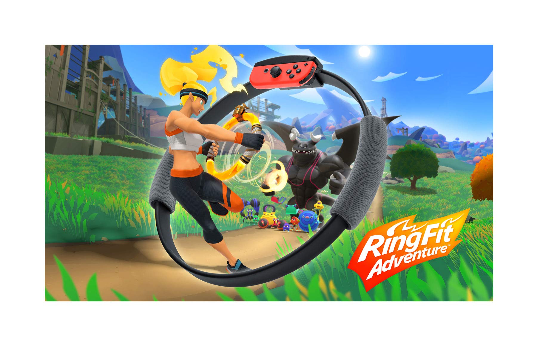 Nintendo Switch Ring Fit Adventure - Black : Amazon.ca: Video Games