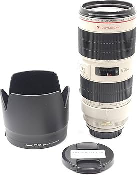 Amazon.co.jp: Canon EF 70-200mm f/2.8L IS II USM : Electronics
