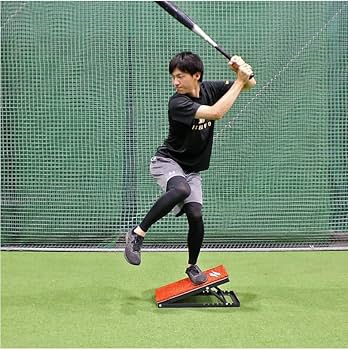 Amazon.co.jp: スウィングスタンド人工芝付き FSWS-3050 フィールド