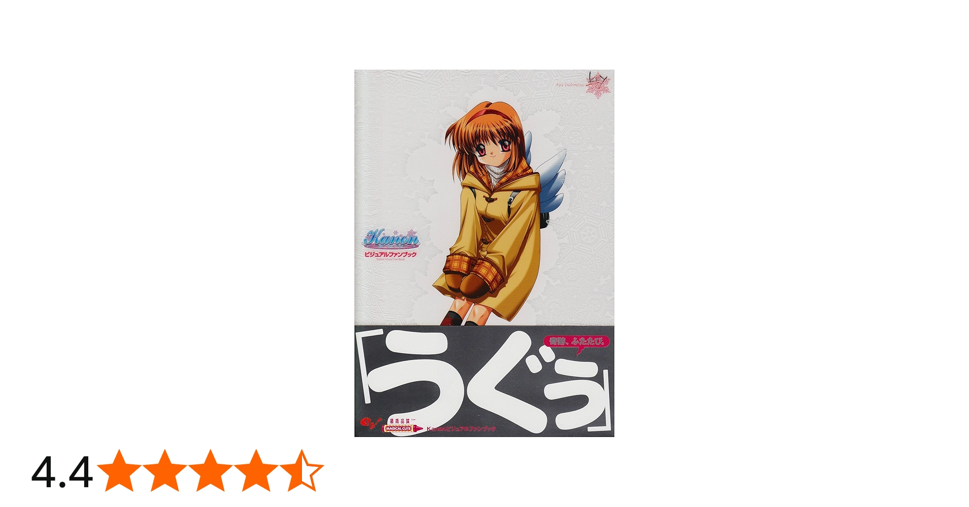 kanonビジュアルファンブック |本 | 通販 | Amazon