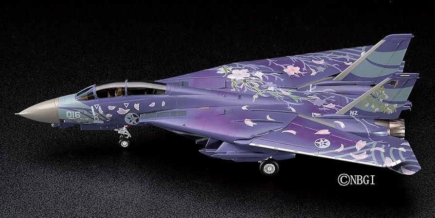 Amazon.com: ACE COMBAT 1/72 F-14D Tomcat 