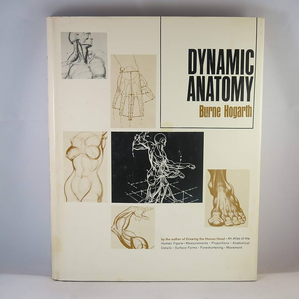 Dynamic Anatomy: Hogarth, Burne: 9780823015504: Amazon.com: Books