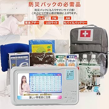 Amazon.co.jp: 【2025年発売】 ポータブルテレビ・4.3ンチ多機能