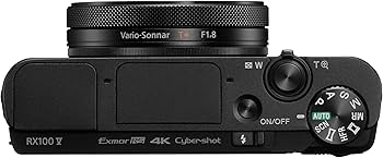 Amazon.com : Sony Cyber-Shot DSC-RX100 V 20.1 MP Digital Still