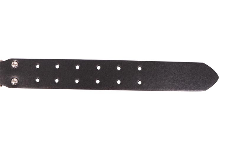 STOLEN ARTS SKULL ROLLER BELT | Brand,S-Z,STOLEN ARTS | GROWAROUND