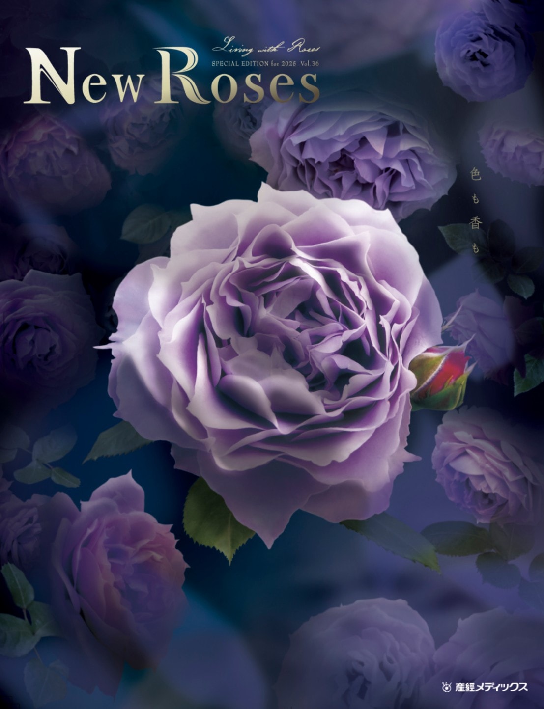 書籍 New Roses SPECIAL EDITION for 2025 vol.36 人気品種の花色と