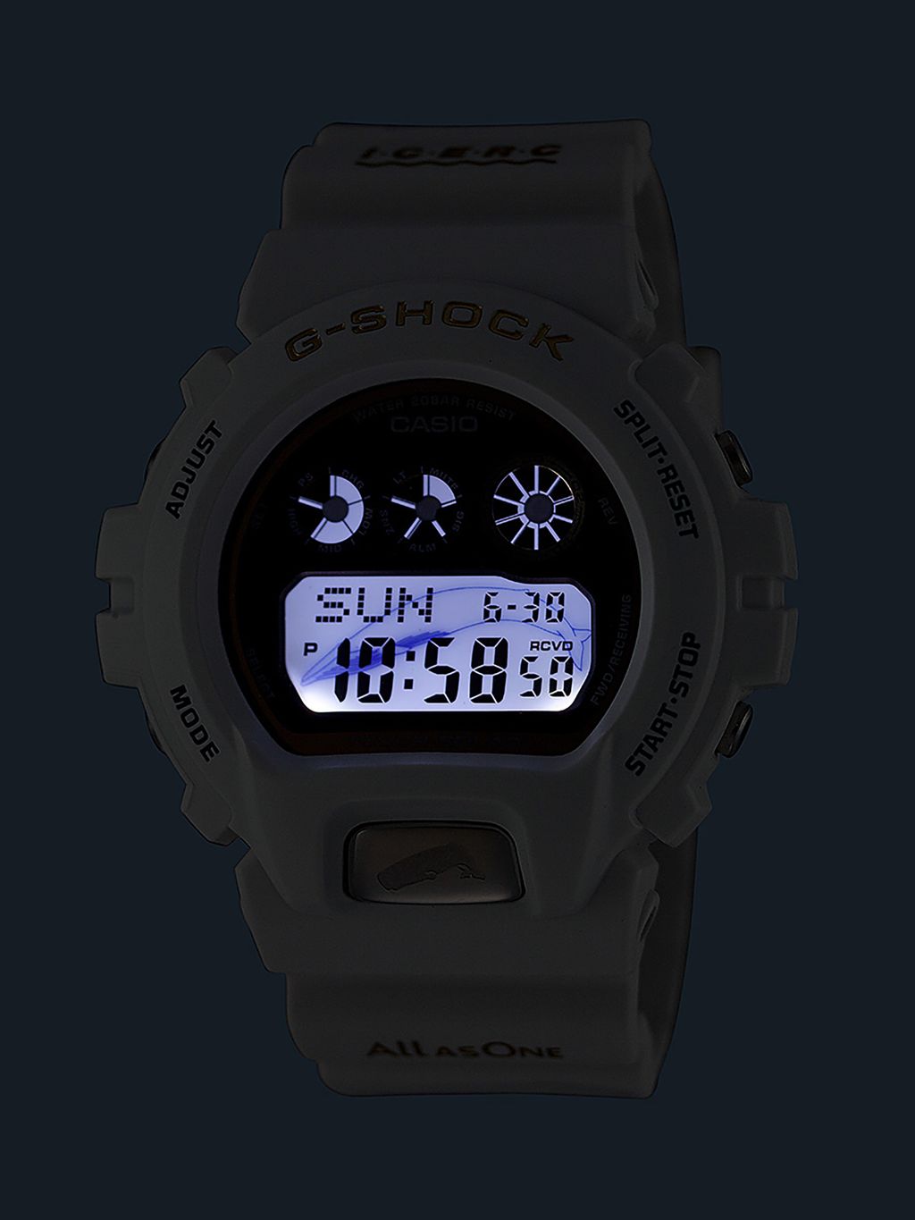 ギャラリー：G-SHOCKの“イルクジ”が30周年！ 2024年モデルは、30頭の