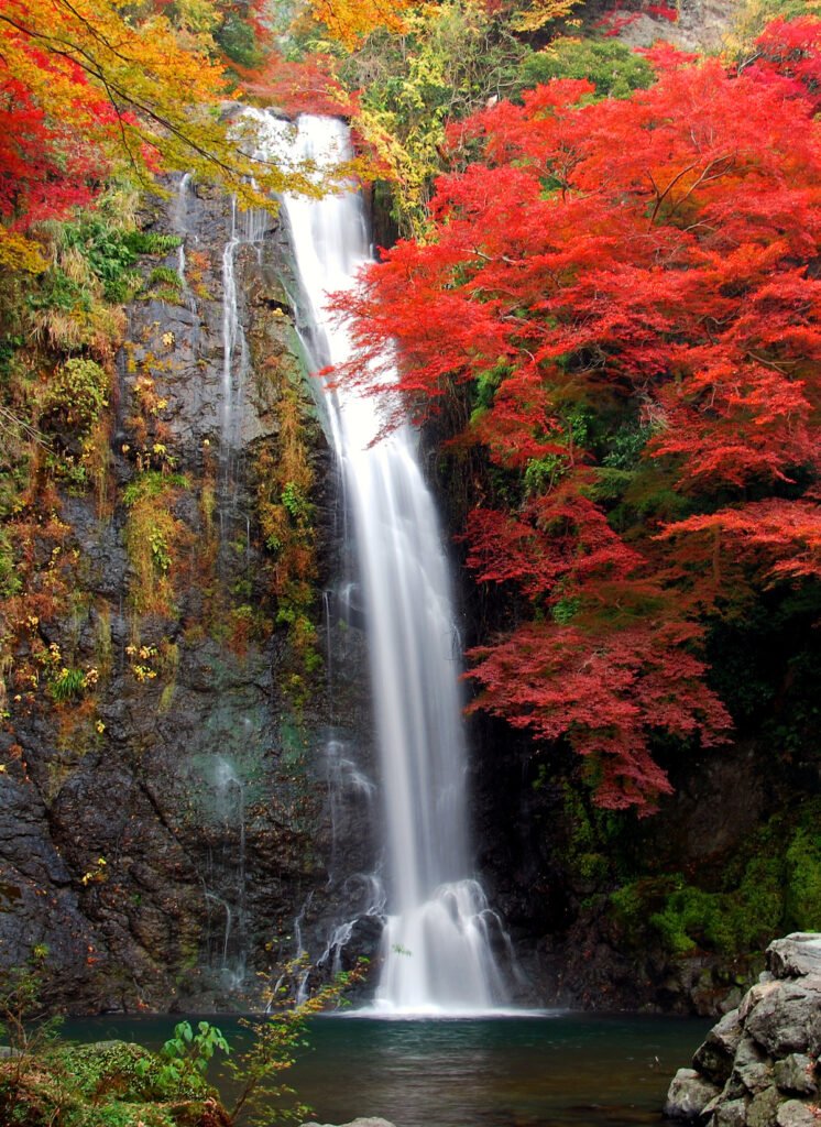 紅葉の名所・大阪府箕面「もみじまつり」滝道さんぽとバスで行く