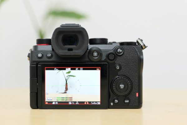 GH5から買い替え検討の方へ】LUMIX S5購入して4ヶ月使用レビュー