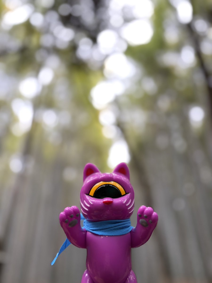 REALHEAD リアルヘッド フォーチュンキッド ソフビ フィギュア ピンク