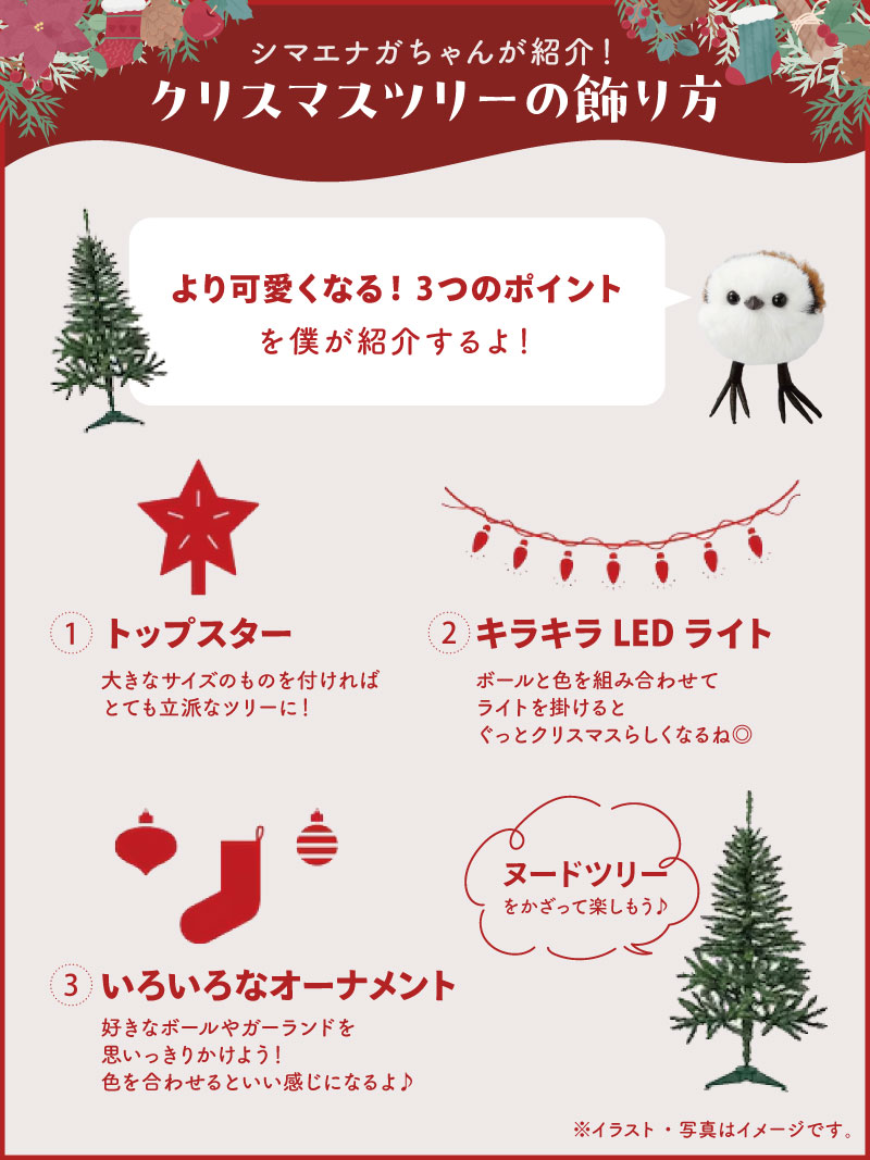 シマエナガちゃんが紹介🤍／ クリスマスツリーの飾り方🎄 ツリーを買っ