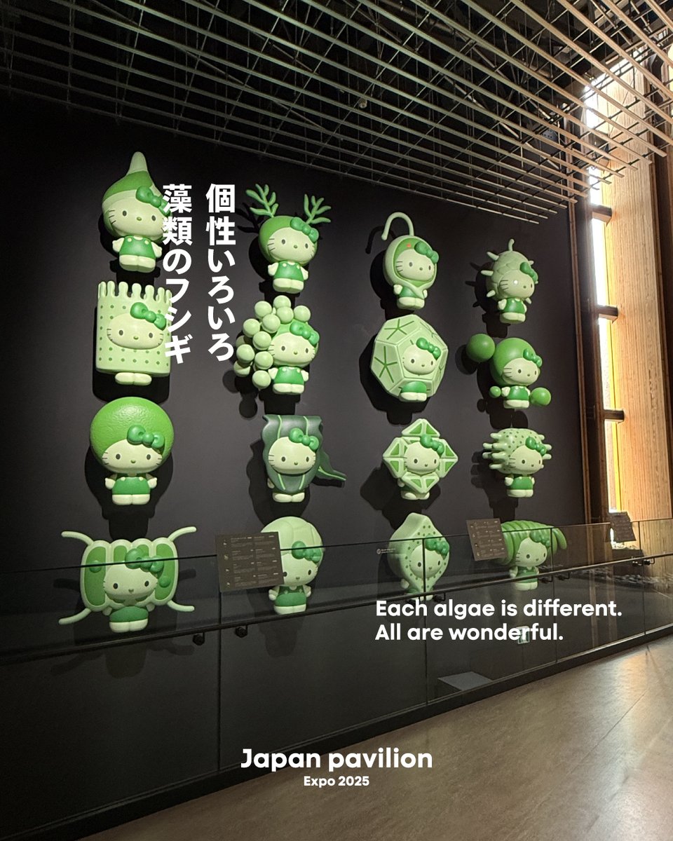 日本館は、5月6日19時30分予約なし開放時間でみましたよ。藻類キティ