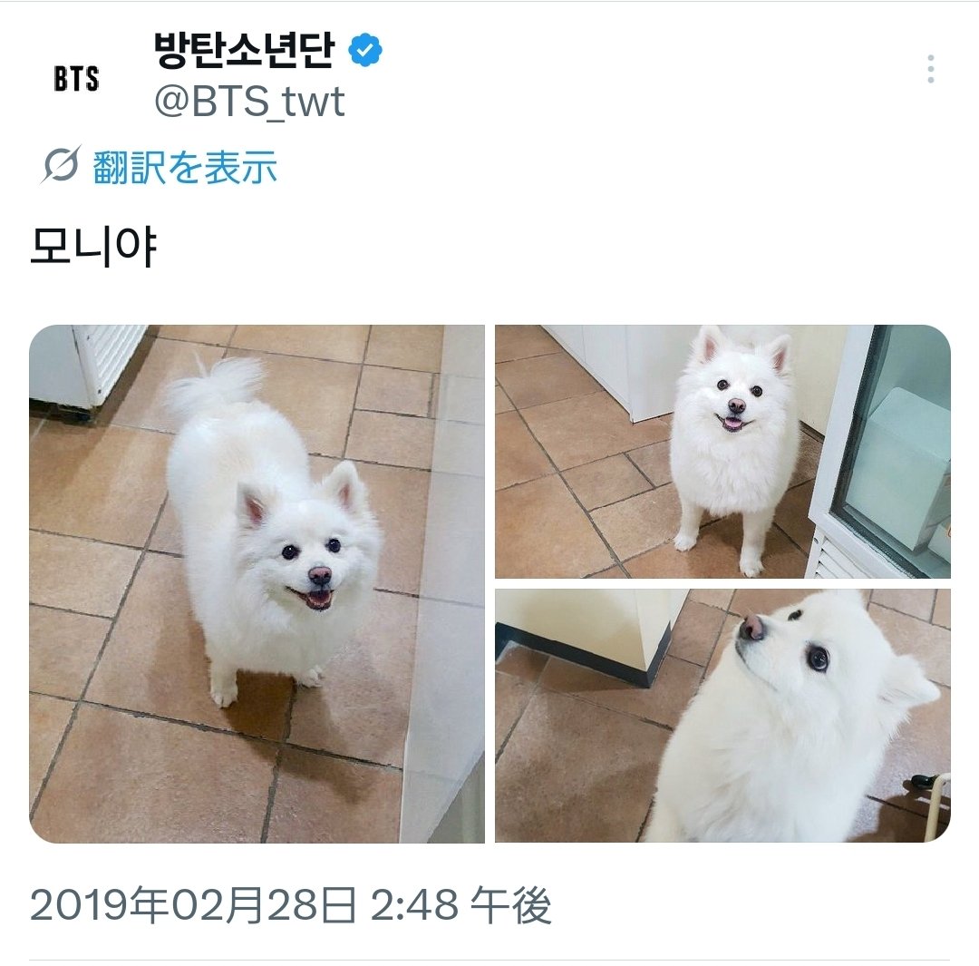 mimi-usagi ⁷ ᴀʀɪʀᴀɴɢ🐨 🌳 (@usagi384) / Posts / X