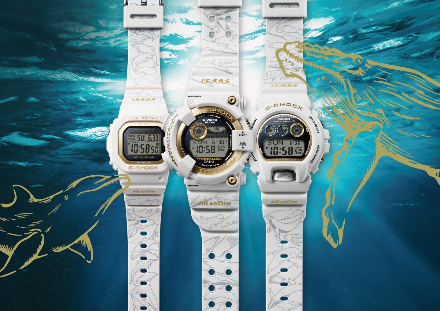 30頭のイルカやクジラをデザインした“G-SHOCK” | カシオ計算機株式会社