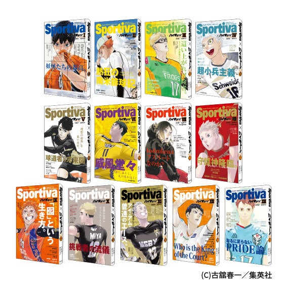 JUMP j BOOKS 創刊30周年記念『ハイキュー!! ショーセツバン!!』フェア