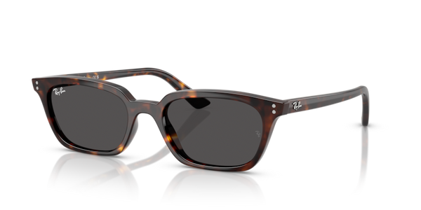 Ray-Ban RB4456 - ZAYA Sunglasses | Select Eyewear