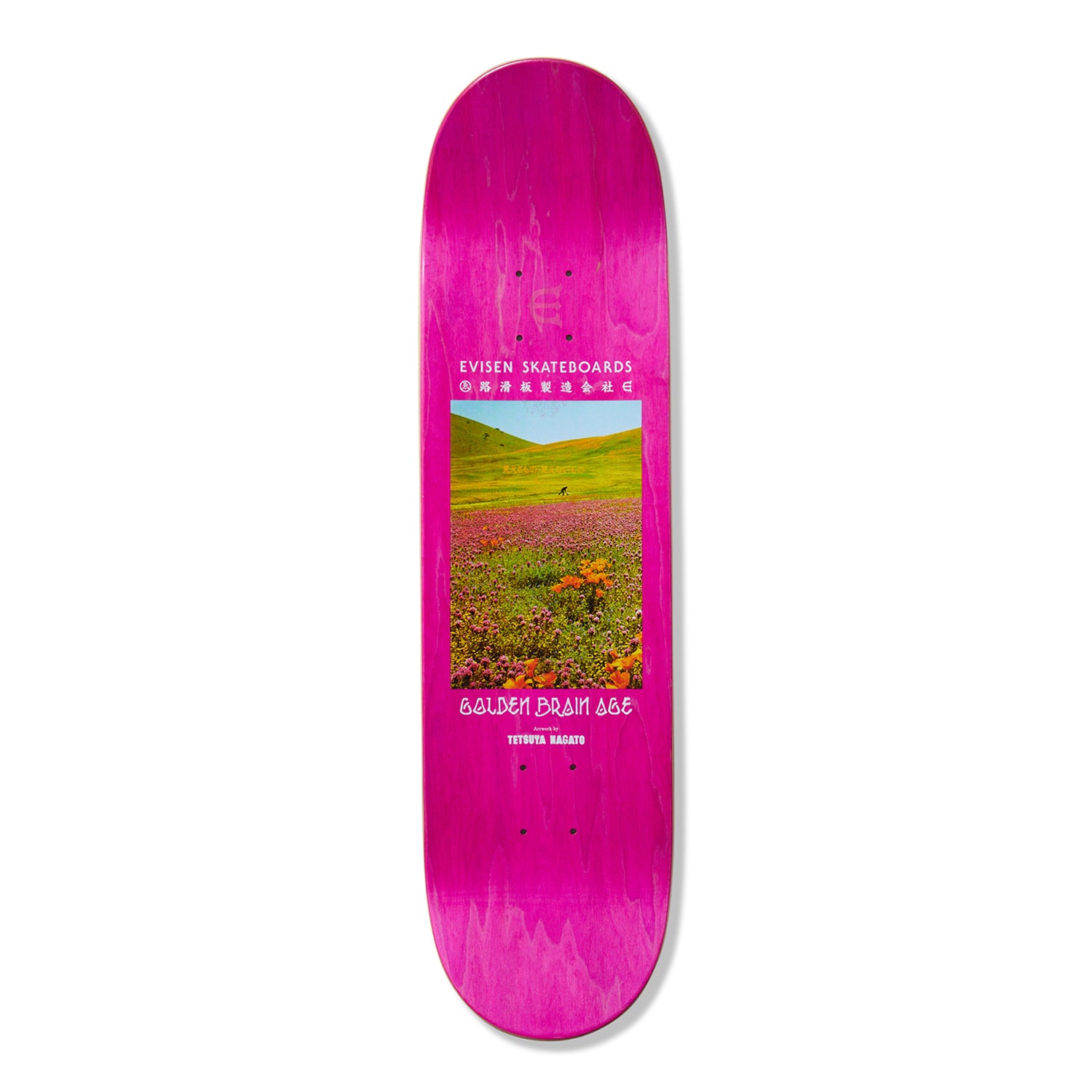 GOLDEN BRAIN AGE – Evisen Skateboards ゑ (エビセン スケートボード