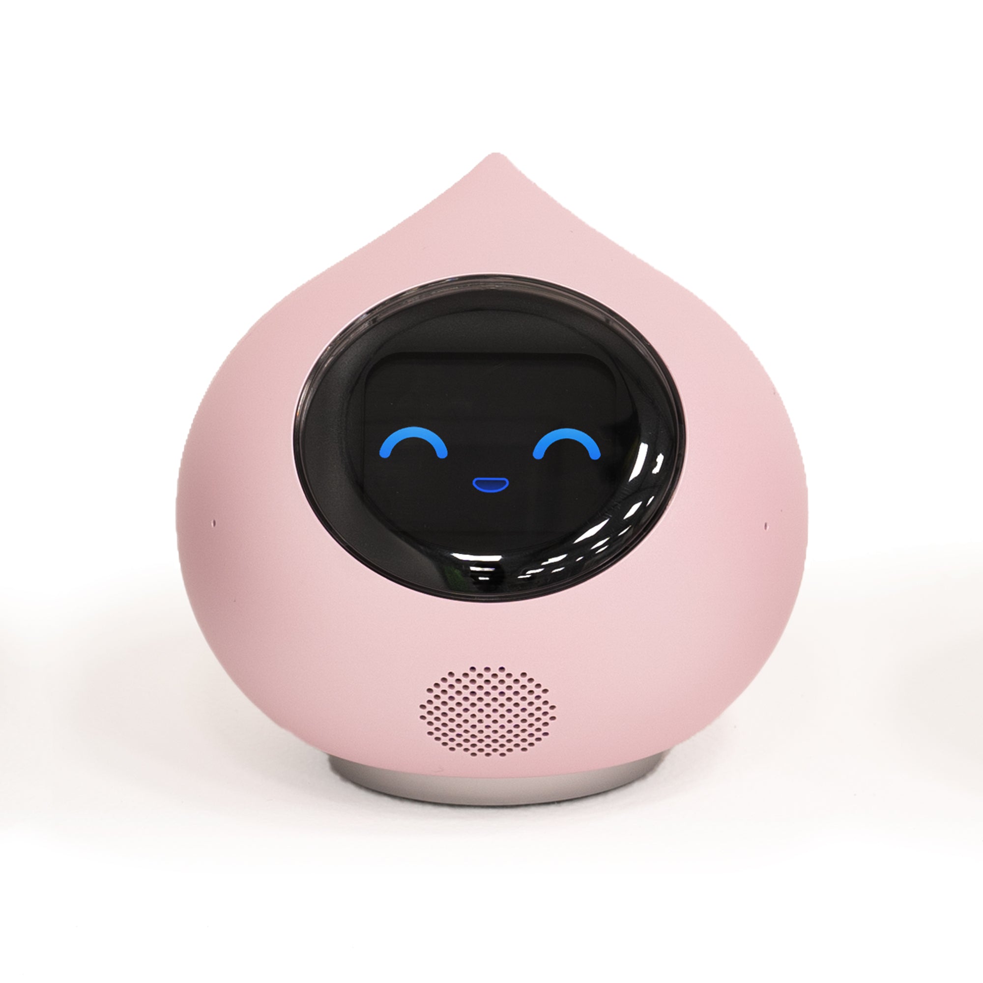 会話AIロボットRomi（Lacatanモデル） – Romiストア
