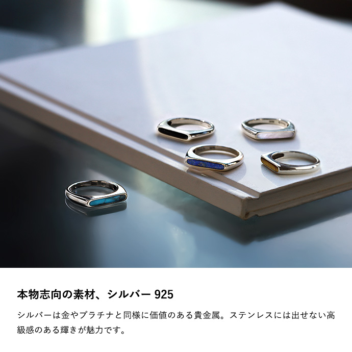 Binich（ビニッチ） シルバー925 指輪 天然石 リング メンズ