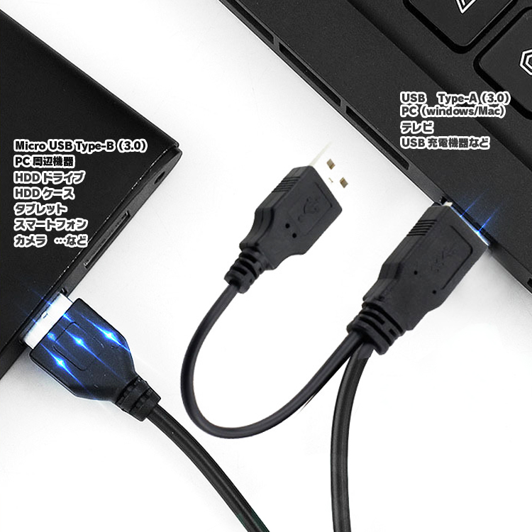 lp04207_3.jpg