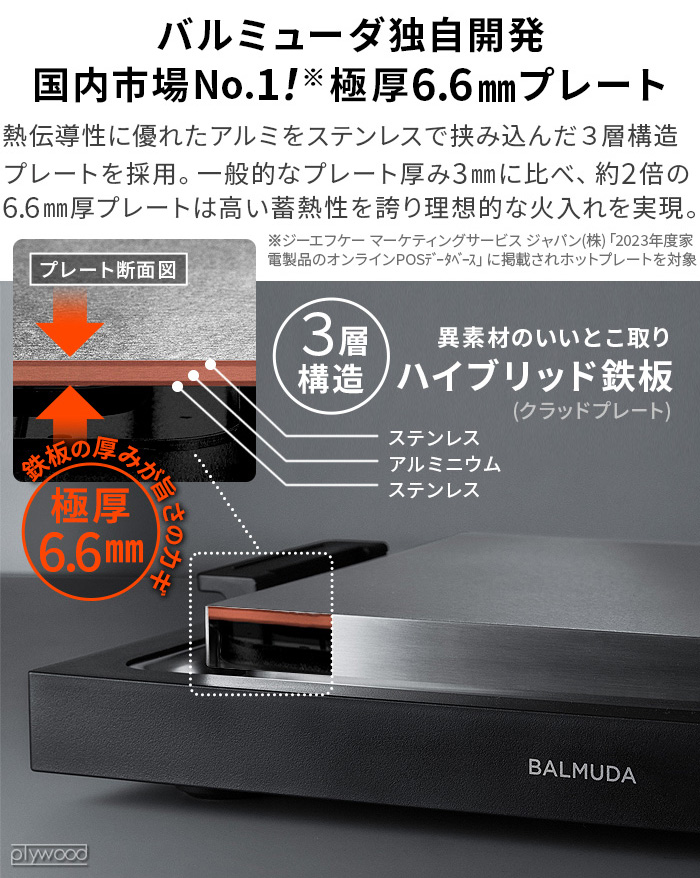 BALMUDA（バルミューダ） 【正規店】 ザ・プレート プロ BALMUDA The