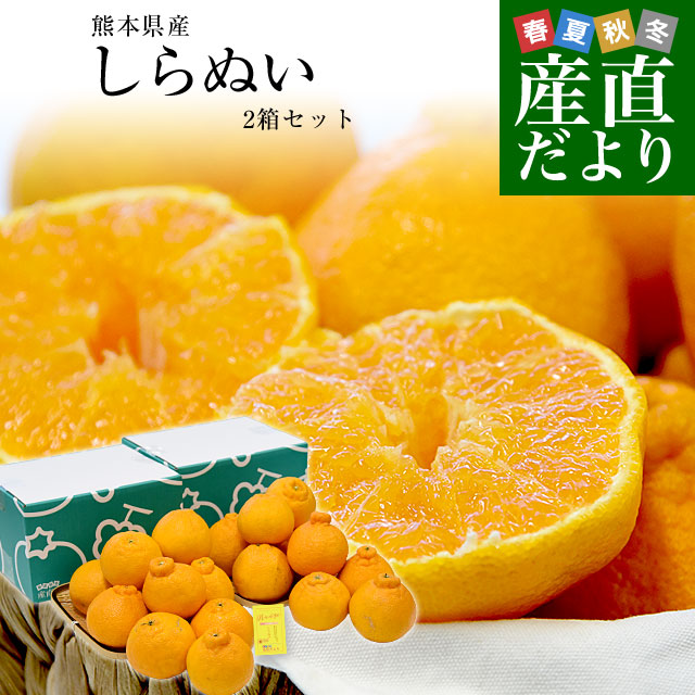 愛媛県 JAにしうわ 甘平(かんぺい) ちょっと訳あり 良品 3LからLサイズ