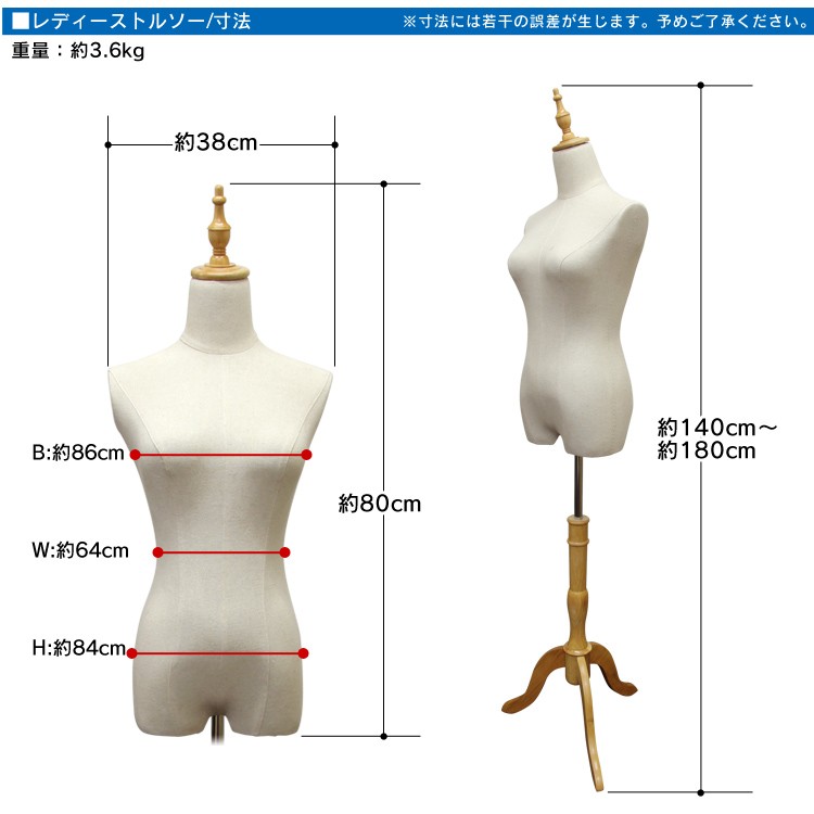 WEIMALL（ウェイモール） トルソー レディース 9号 幅34cm×高さ140