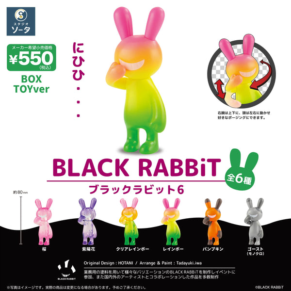 bt-BLACKRABBiT6-