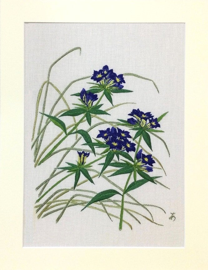 秋の花「竜胆 りんどう」を日本画風に刺繍する | 花の刺繍画 － 植木紅