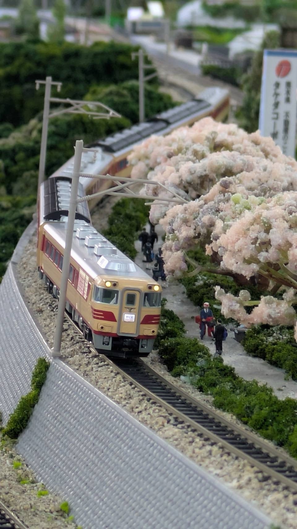 ◇ TOKYO N-train に行ってきましたの巻 ◇ | ホビーショップタムタム