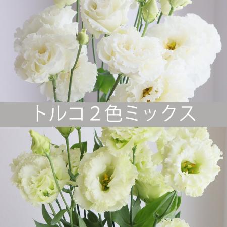 hd-0009_m.jpg