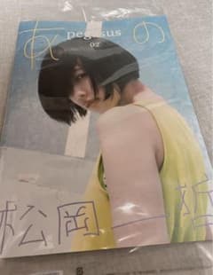 あのちゃん 雑誌 おまけ付き pegasus 02 松岡一哲 写真集セット 本