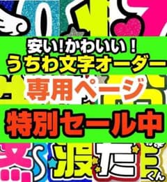 ʚ♡ もむ ♡ɞ様専用 うちわ文字 オーダー うちわ屋さん ハングル