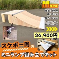 スケボー ランプ 組み立て式ミニランプ高さ300×幅910 スケボーランプ