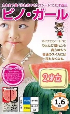 2026年最新】こだまスイカの人気アイテム - メルカリ