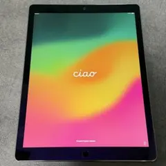 2026年最新】ipad pro 12.9 第2世代 512gbの人気アイテム - メルカリ