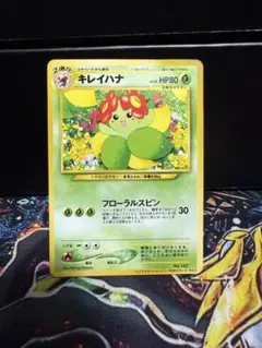 2026年最新】キレイハナ 旧の人気アイテム - メルカリ
