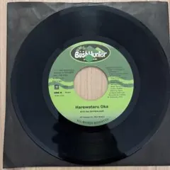 2026年最新】ryo the skywalker レコードの人気アイテム - メルカリ