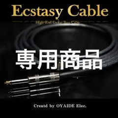 2026年最新】オヤイデ ecstasyの人気アイテム - メルカリ