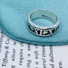 2026年最新】tiffany＆co． アトラス ナローリングの人気アイテム