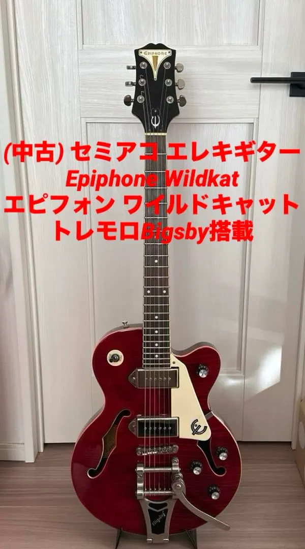 2026年最新】エピフォン ワイルドキャットの人気アイテム - メルカリ